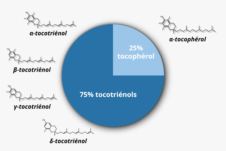 Une vitamine E au spectre large pour une efficacité optimale